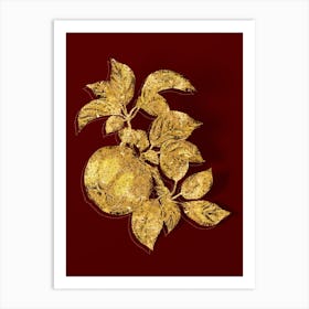 Vintage Apple Botanical in Gold on Red n.0189 Art Print