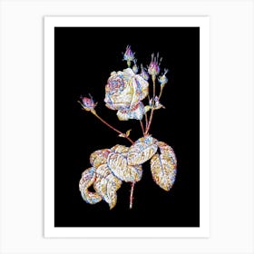 Stained Glass Cabbage Rose Mosaic Botanical Illustration on Black n.0208 Art Print