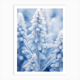 Frosty Botanical Bluebonnet 4 Art Print