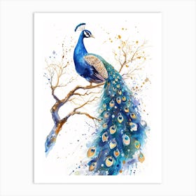 Watercolour Peacock On The Tree Branch 1 Art Print