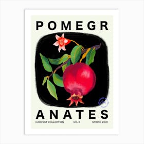 Pomegranates Fruit Kitchen Typography Art Print