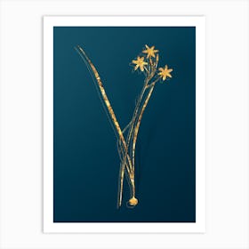 Vintage Ixia Longiflora Botanical in Gold on Teal Blue Art Print