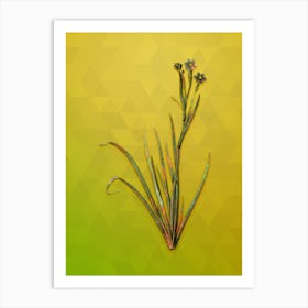 Vintage Bermudiana Botanical Art on Empire Yellow n.0919 Art Print