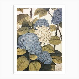 Ajisai Hydrangea 3 Vintage Botanical Woodblock Art Print