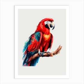 Parrot Art Print