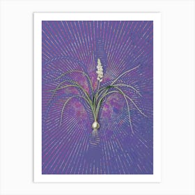 Vintage Lachenalia Angustifolia Botanical Illustration on Veri Peri Art Print