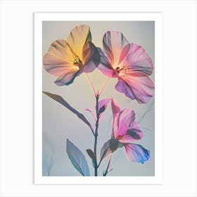 Iridescent Flower Evening Primrose 2 Art Print