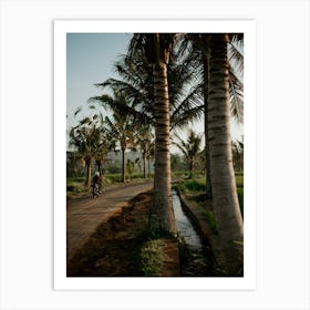 Bali Rice Fields Photograph, 5 Art Print