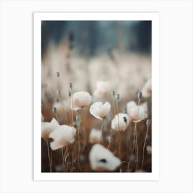 White Poppy Field Art Print