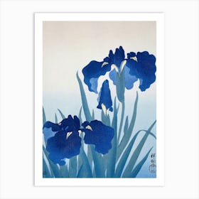 Blue Iris 1 Art Print