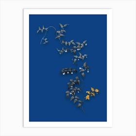 Vintage Bridal Creeper Black and White Gold Leaf Floral Art on Midnight Blue n.0284 Art Print