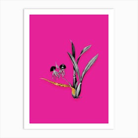 Vintage Clamshell Orchid Black and White Gold Leaf Floral Art on Hot Pink n.0276 Art Print