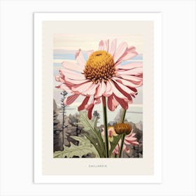 Flower Illustration Gaillardia 1 Poster Art Print