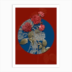 Vintage Botanical Red Cabbage Rose in Bloom on Circle Blue on Red n.0011 Art Print