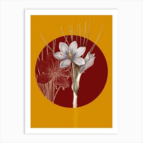 Vintage Botanical Autumn Crocus on Circle Red on Yellow n.0314 Art Print