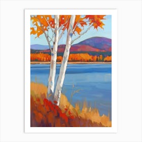 Birch Trees 18 Art Print