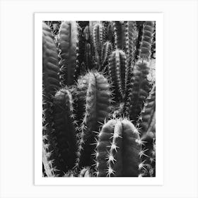 Cactus 1 Art Print