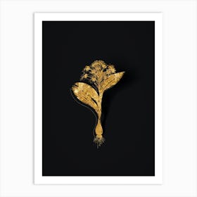 Vintage Pygmy Hyacinth Botanical in Gold on Black n.0462 Art Print