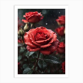 Rainy Roses Print Art Print