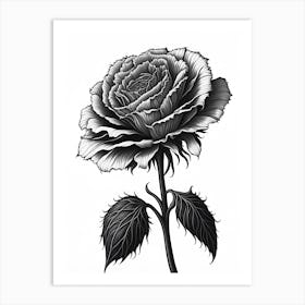 A Carnation In Black White Line Art Vertical Composition 19 Art Print