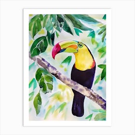 Toucan 6 Art Print