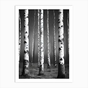 Birch Trees In The Fog 3 Art Print