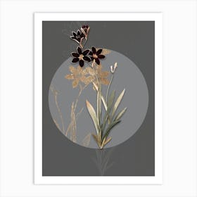 Vintage Botanical Ixia Grandiflora on Circle Gray on Gray n.0155 Art Print