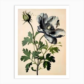 Striking Beauty in Black and White: A Single Poppy in Full Bloom   Art Print