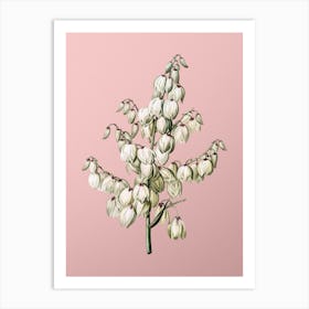 Vintage Aloe Yucca Botanical on Soft Pink n.0664 Art Print