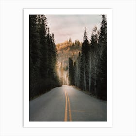 Dark Forest Road Art Print