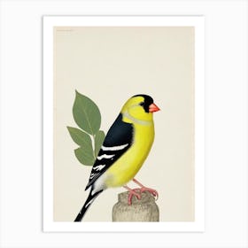 American Goldfinch Illustration Bird Art Print