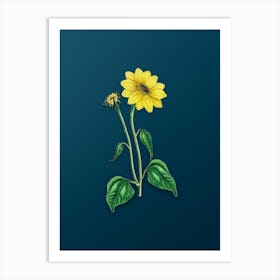 Vintage Trumpet Stalked Sunflower Botanical Art on Teal Blue n.0089 Art Print
