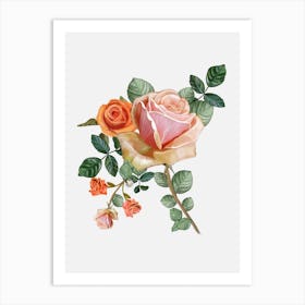 Heirloom Orange Roses Art Print