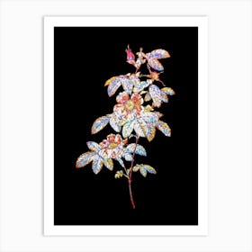 Stained Glass Single May Rose Mosaic Botanical Illustration on Black n.0093 Art Print