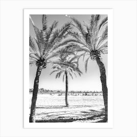 Palm Trees On The Beach Mallorca Art Print