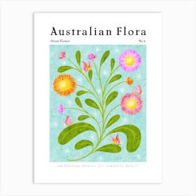 Australian Flora Straw Flower Art Print