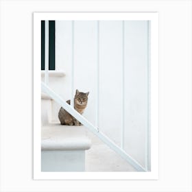 Cat on the steps in Italy Art Print