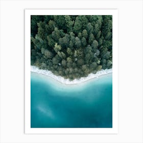 Calm Lake And Forest From Above Art Print