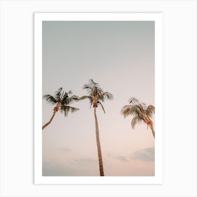 Palm Tree Sunset Art Print
