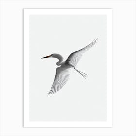 Egret B&W Pencil Drawing 1 Bird Art Print