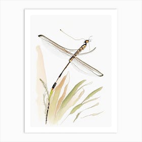 Widow Skimmer Dragonfly Pencil Illustration 1 Art Print
