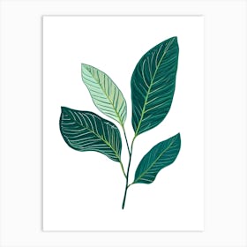 Green Leaves On A White Background Art Print