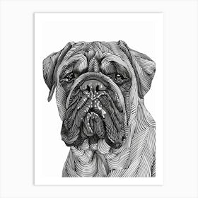 Dogue De Bordeaux Line Sketch 1 Art Print