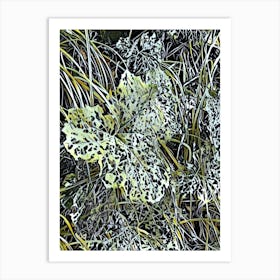 Frosty Grass Art Print