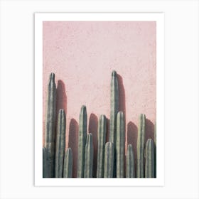 Blushing Cactus Art Print