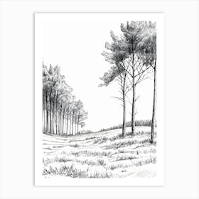 Pencil Drawing Of Trees Art Print