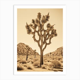 Photograph Of A Joshua Trees In Mojave Desert 2 Art Print