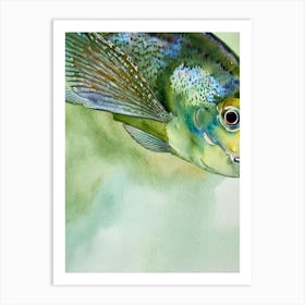 John Dory Storybook Watercolour Art Print