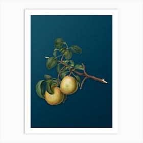 Vintage Pear Botanical Art on Teal Blue n.0925 Art Print