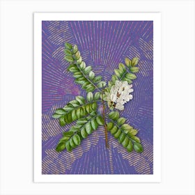 Vintage Clammy Locust Botanical Illustration on Veri Peri Art Print